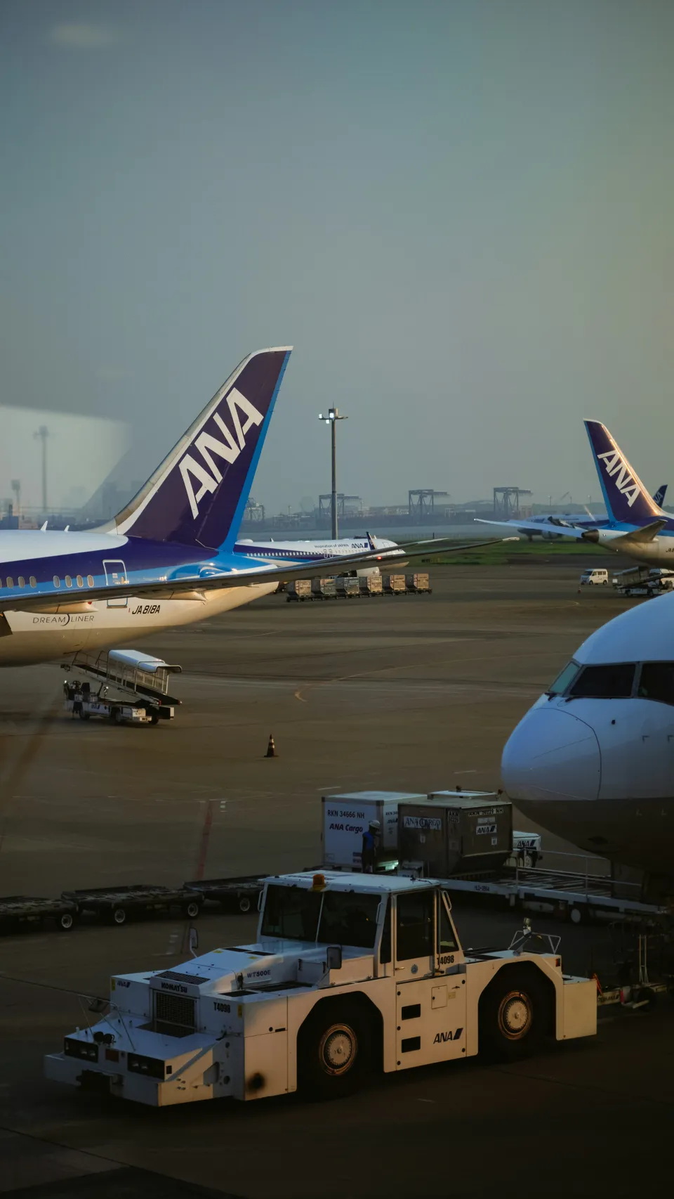 Rampa de aeropuerto con varios aviones de fuselaje ancho estacionados, contenedores de carga y vehículos de tierra en primer plano al atardecer.